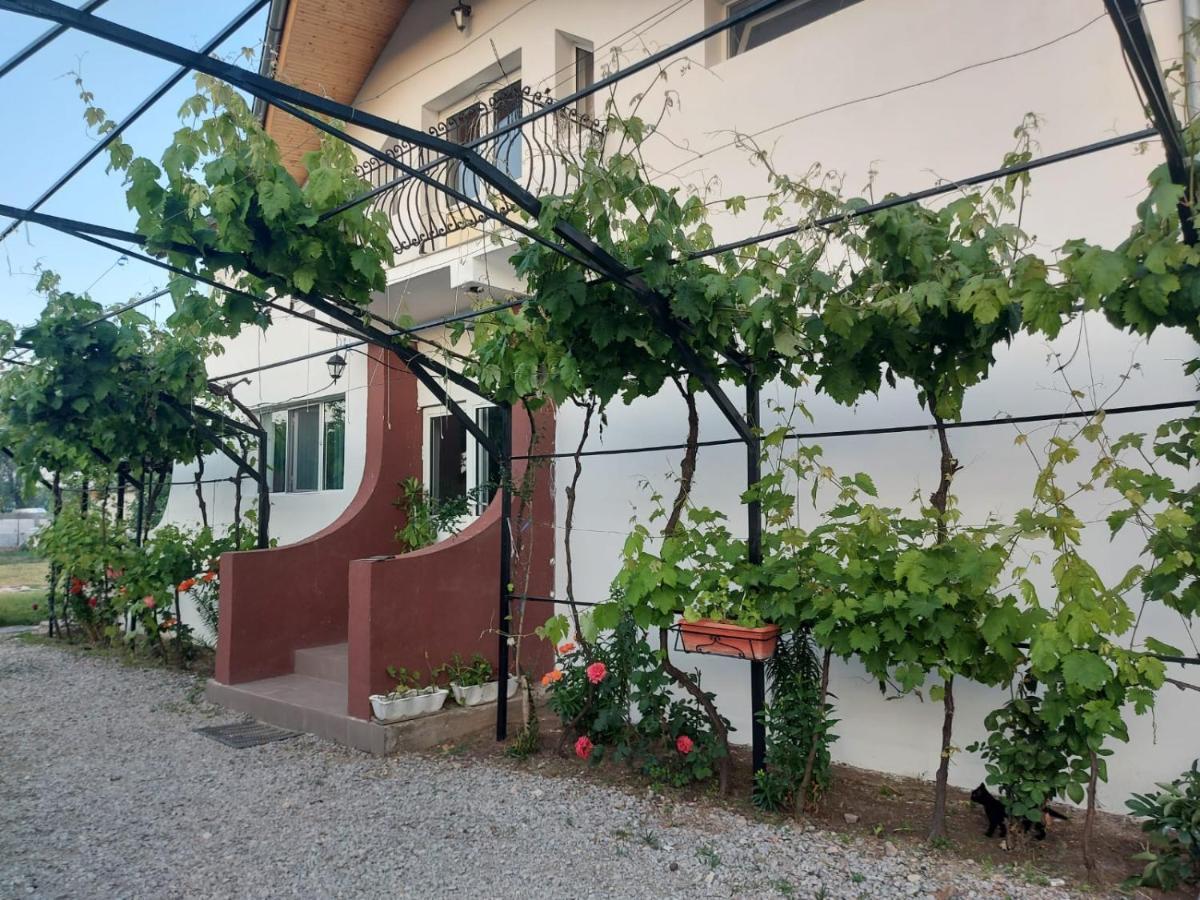 Pensiunea Raluca Mahmudia Εξωτερικό φωτογραφία